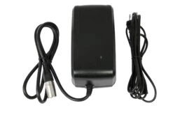Giant Fast Charger (4A)