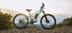 Giant Liv Tempt E+ 24 - 2023 Kinder E-Bike -EBIKE Verkäufe giant liv tempt e plus 24 3