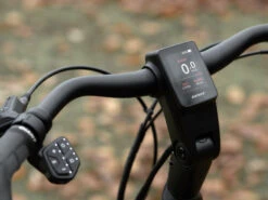 Giant Vorbau RideDash EVO - SG -EBIKE Verkäufe giant vorbau ride dash evo sg im einsatz 2