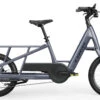 Trek Fetch+ 2 Lastenrad 2023 -EBIKE Verkäufe trek fetch 2 lastenrad 2023 grau