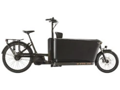 Trek Fetch+ 4 Cargo Bike 2023